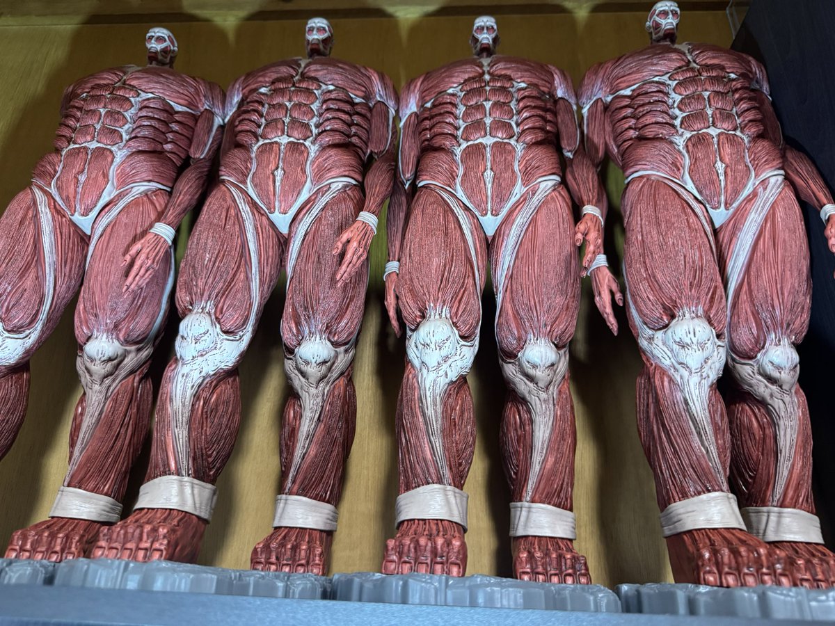 これ歩いてきたら泣くて笑
#進撃の巨人
#超大型巨人