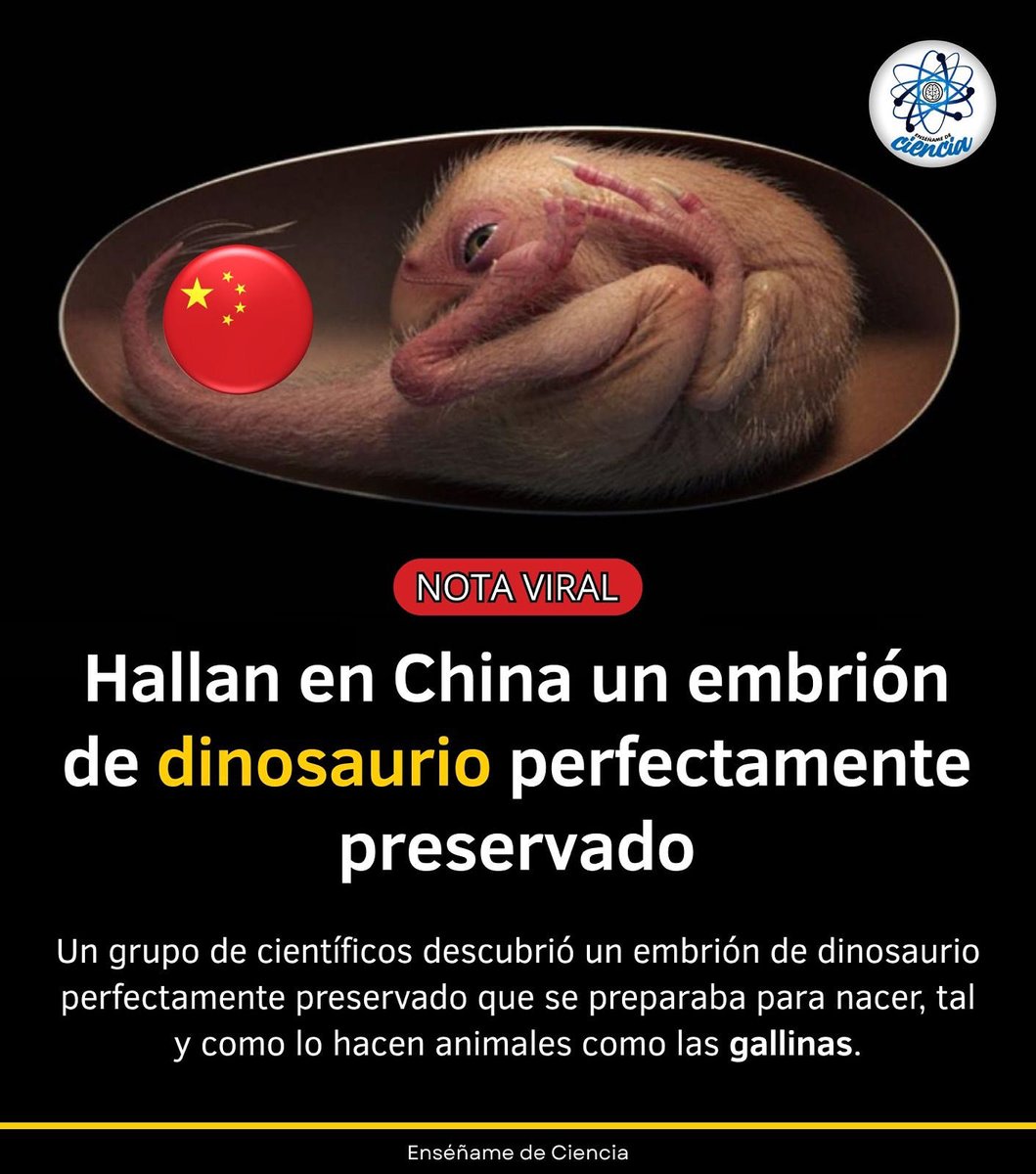 Enséñame de Ciencia tweet media