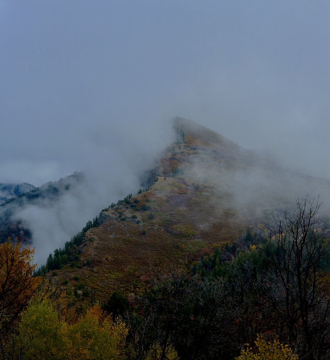 V_irvin_V's tweet image. Right place right time