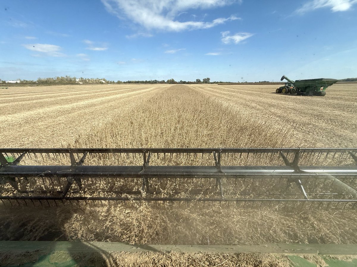 We finally found that soybean swath that we had been looking for: the last one! On to corn for the home stretch… #Harvest25