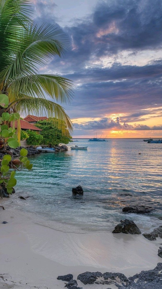 OceanBeauty💦 (@oceanvibes79) on Twitter photo 