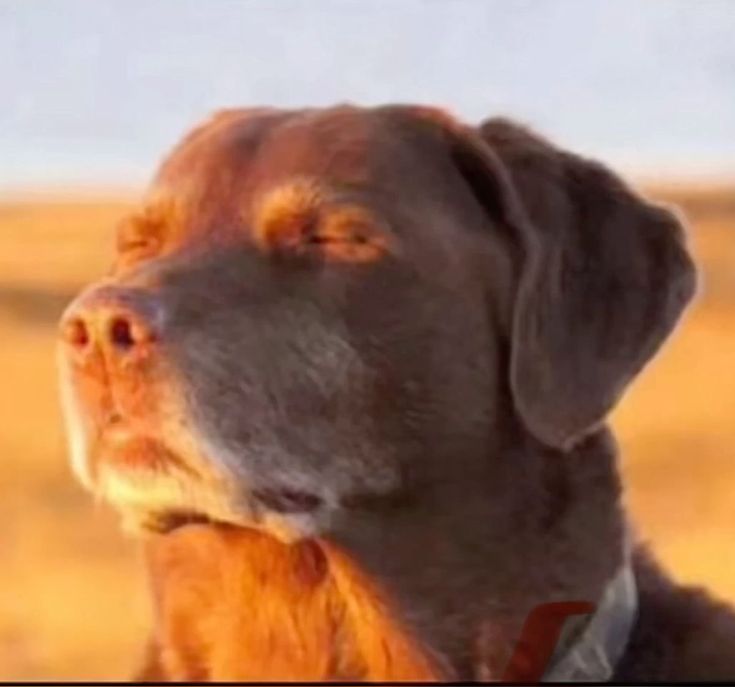 𝙼𝚊𝚝𝚝 (𝙵𝚎𝚕𝚒𝚡'𝚜 𝚋𝚏♡) tweet media