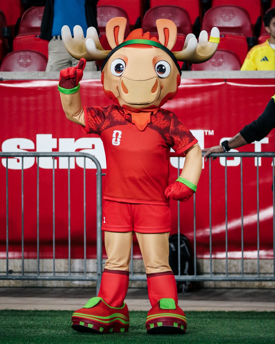 Out friend Maple is in the house!! 🏠

Notre ami Maple est dans la place!! 🏠

🇨🇦 🇨🇴 
#CANMNT