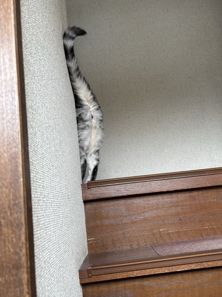 サスケの残像