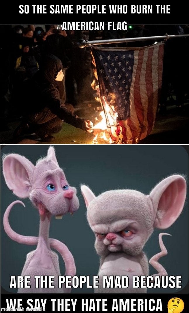 Makes tons of sense 🧐🤡😆