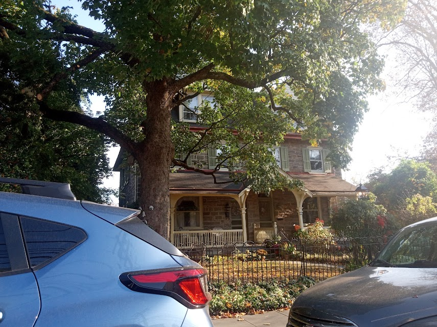 JackChambersGB's tweet image. Chestnut Hill, Philadelphia, last November