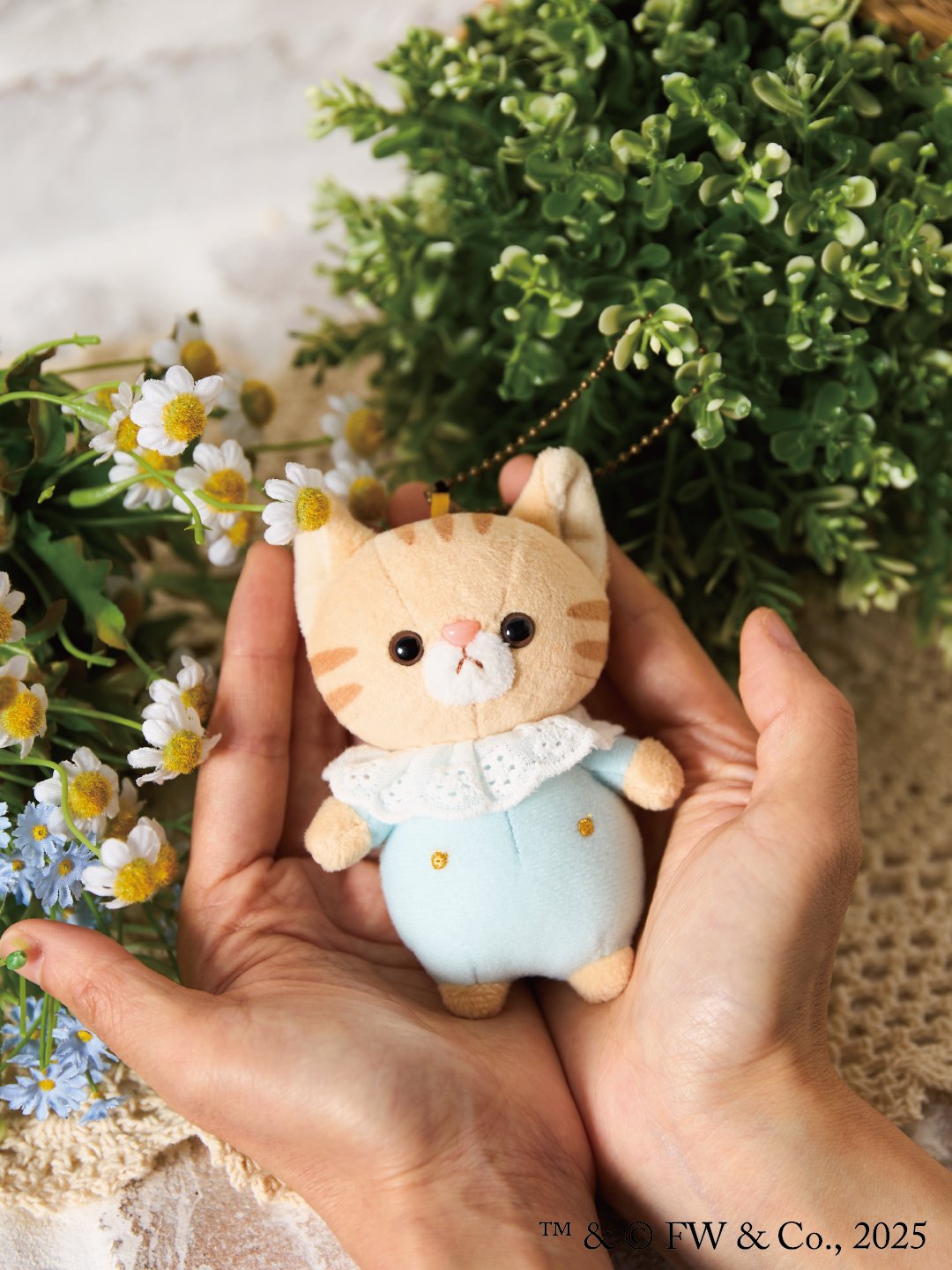 ひなたかほり つのねこ まとめ売り Amazon.co.jp: VAG MORRIS モリス ひなたかほり つのねこ つのが