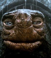 Christopher Roth tweet media