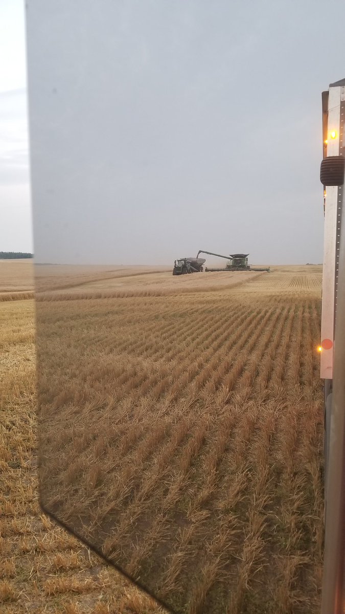 Edward Hofer tweet media