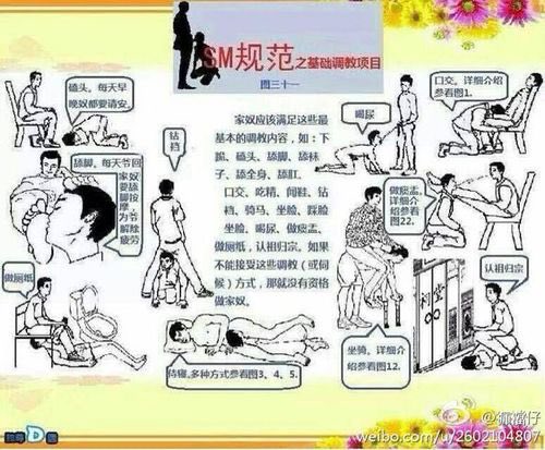 shanxiashanxiao's tweet photo. 生活化的精髓，尊卑与规矩融入生活！ https://t.co/zlO5BUmW8z