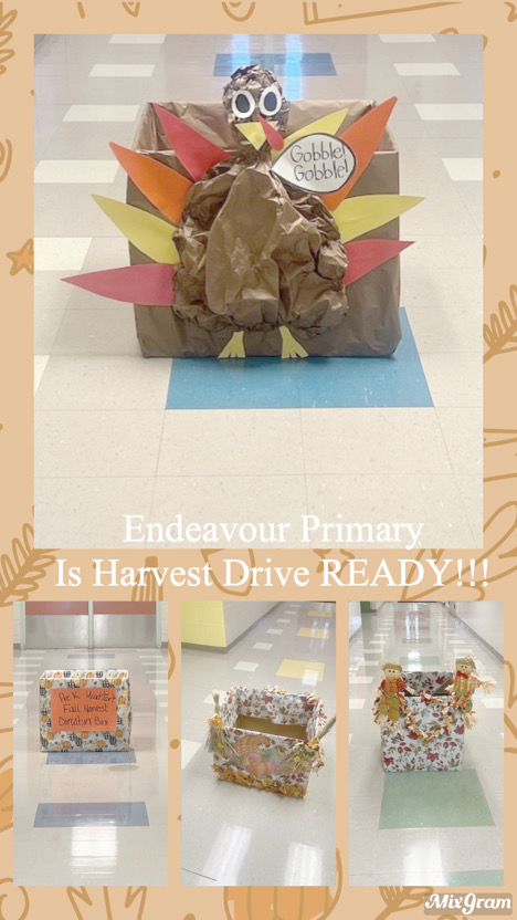 🚀 Endeavour Primary is Harvest Drive READY!
Our Rocket families are showing big hearts this season ❤️🦃 Thank you for helping us give back and make a difference! #RocketPride #HarvestDrive #SoarHigh <a href="/BcpsSto/">BCPS School Transformation Office</a> <a href="/baugh_dr90223/">Dr. Francine Baugh-Stewart</a>
