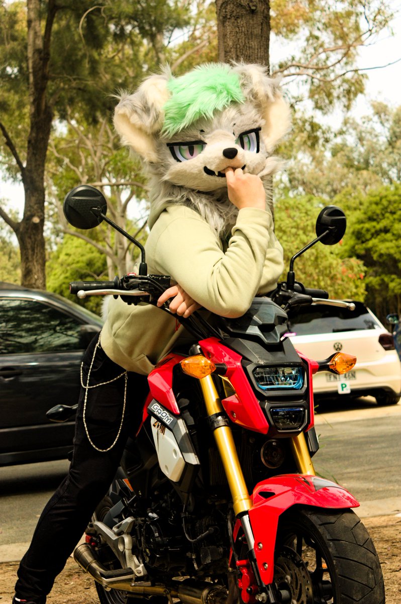 hades_catto's tweet photo. Matcha doggo and tiny bikes :3
#furjam #furjam2025 #furry #fursuit #honda #grom #canon #450d https://t.co/uW9nk1Ksev