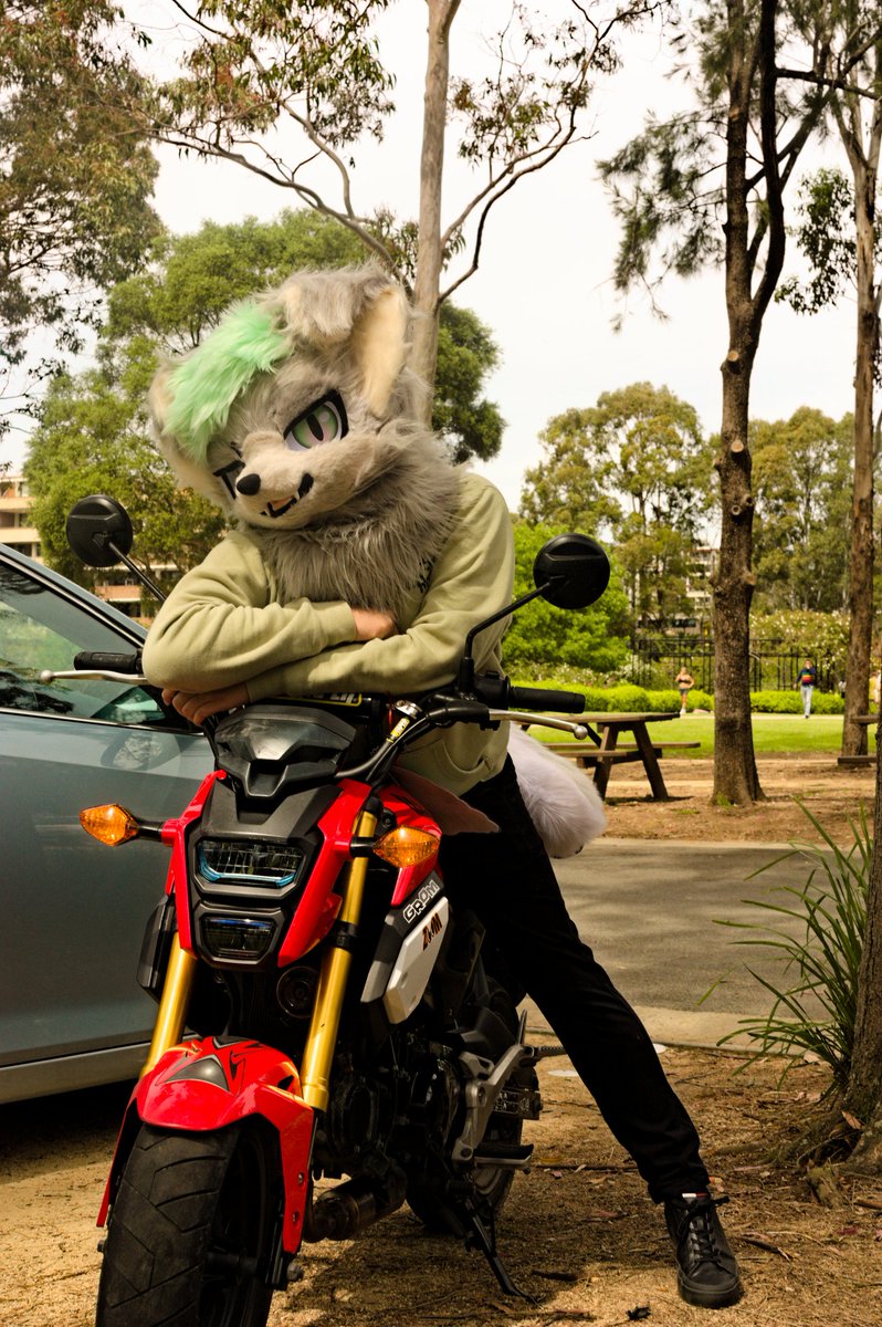hades_catto's tweet photo. Matcha doggo and tiny bikes :3
#furjam #furjam2025 #furry #fursuit #honda #grom #canon #450d https://t.co/uW9nk1Ksev