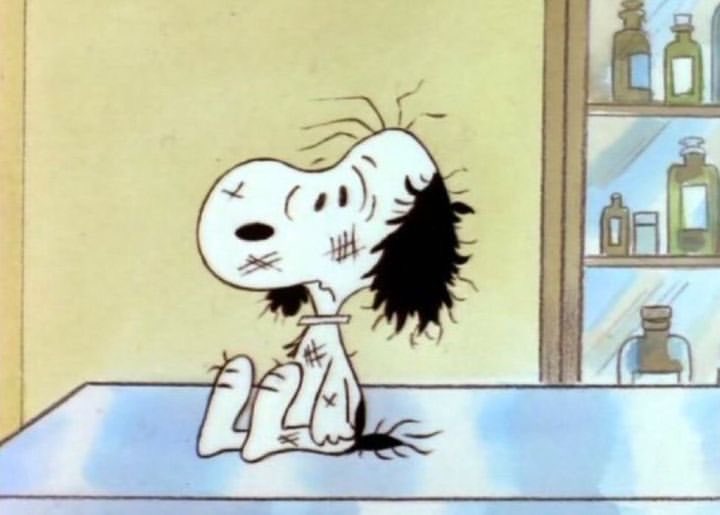 Daily Snoopy (@dailysnoopys) on Twitter photo 
