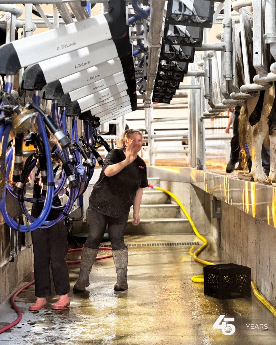 Tonight was an exciting night at Mapletier Holsteins! 🎉

The family started up milking in their new-to-them <a href="/DeLaval/">DeLaval</a> midiline swing 10 parlour!

The cows are still waiting on their “bling” — the DeLaval Behavior Analysis bio-sensors — but once they’re in, it’ll be a complete
