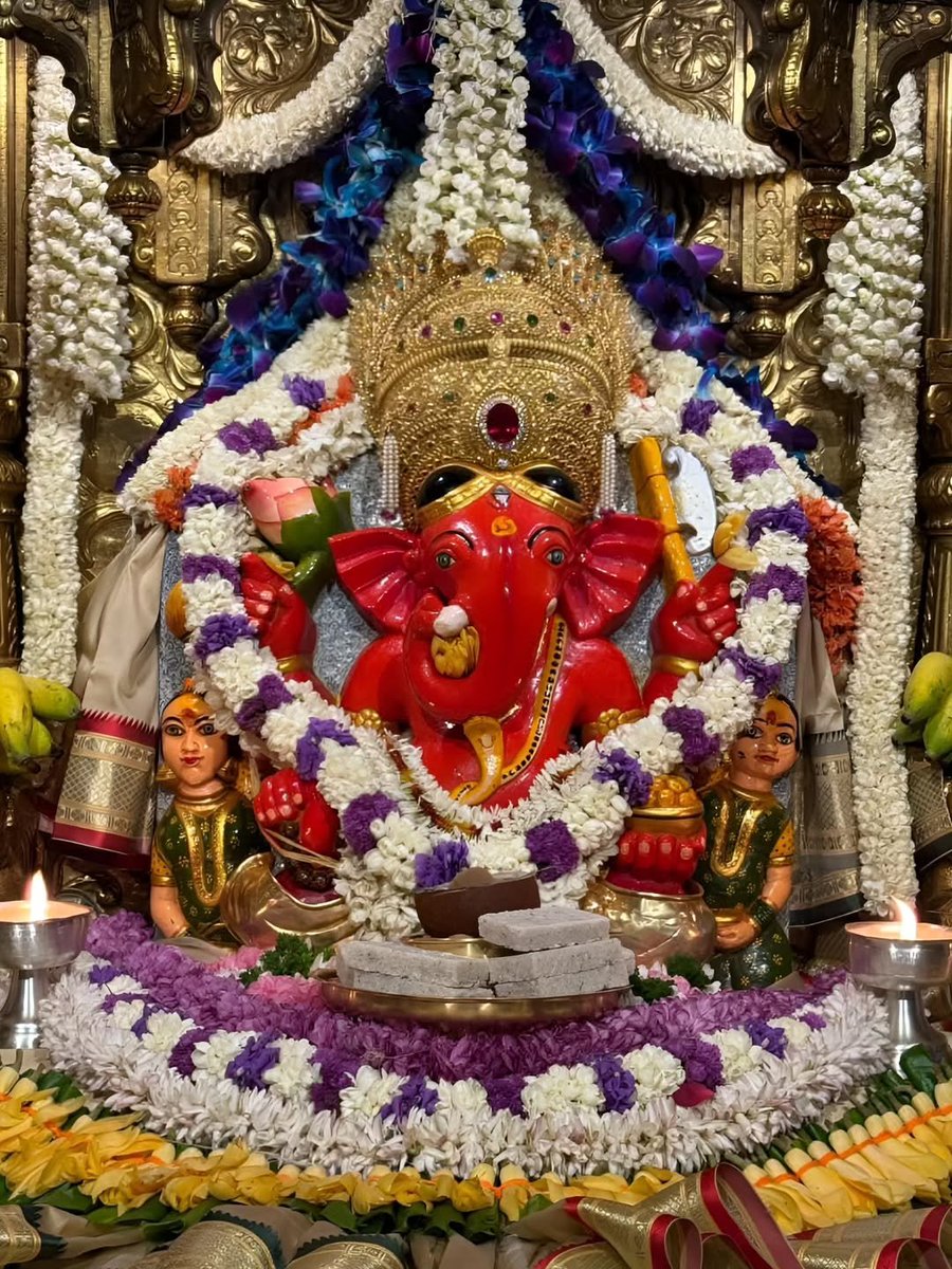 श्री सिद्धिविनायक नमो नमः✴️