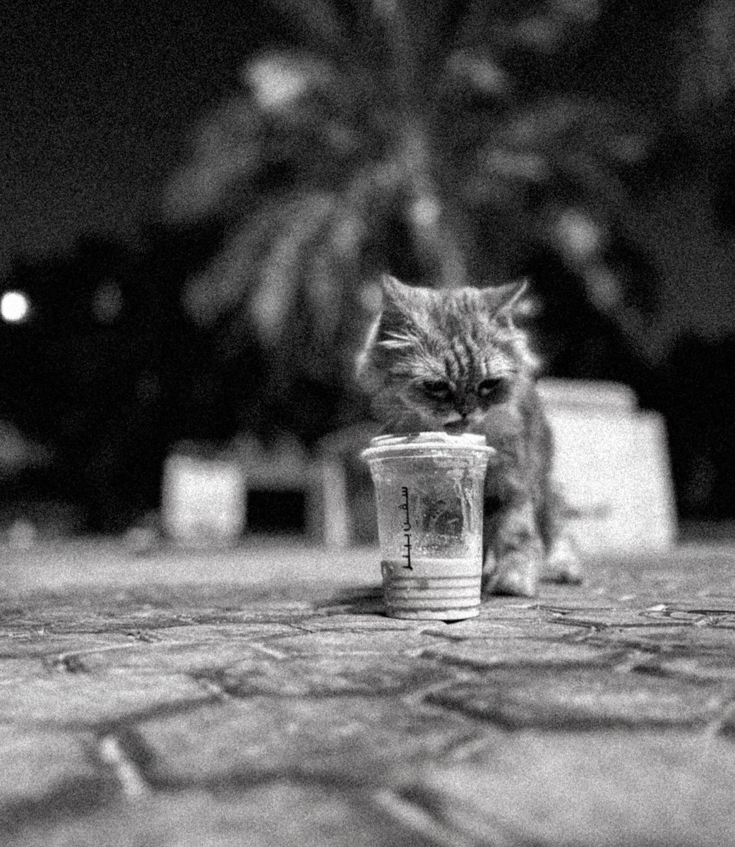 حسن خواجي | Hasan khawaji (@hsn_khawaji) on Twitter photo 