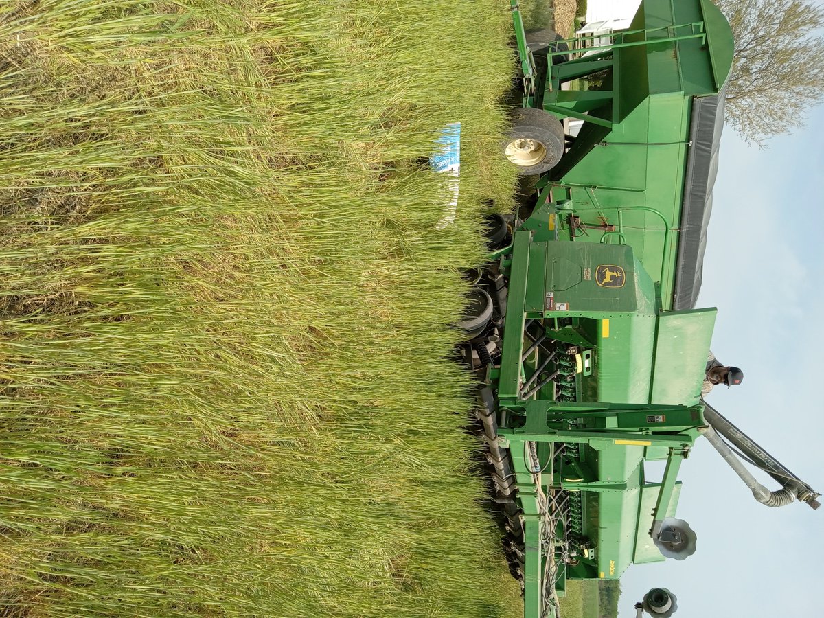 20' 1590 drill for sale,early model.Fill auger, Sensor 1 monitor, 1/2 speed bean gears $50,000 re-posts appreciated