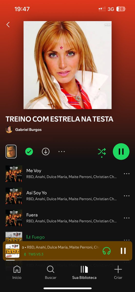 a camiseta // a playlist