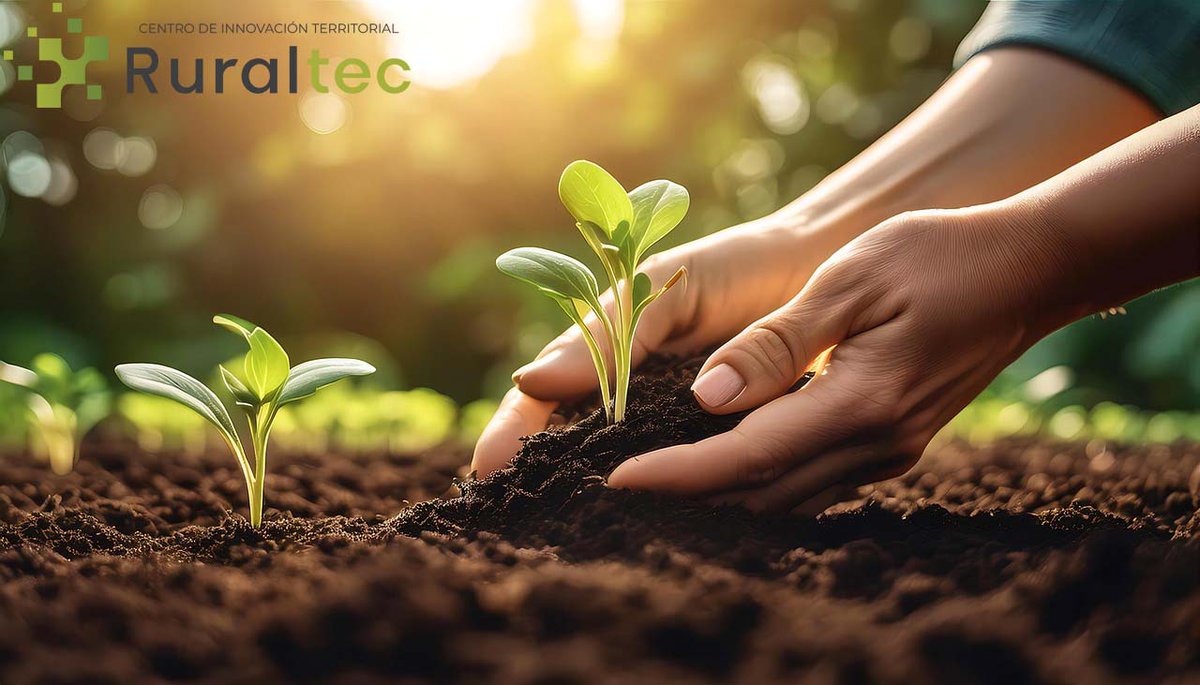 En el #𝐃í𝐚𝐈𝐧𝐭𝐞𝐫𝐧𝐚𝐜𝐢𝐨𝐧𝐚𝐥𝐝𝐞𝐥𝐚𝐌𝐮𝐣𝐞𝐫𝐑𝐮𝐫𝐚𝐥 desde el CIT RuralTEC expresamos nuestro reconocimiento y apoyo a todas las mujeres que, con su esfuerzo y compromiso, mantienen vivo el pulso de nuestros pueblos <a href="/mitecogob/">Transición Ecológica y Reto Demográfico</a> #RedCIT <a href="/dipvalencia/">Diputació de València</a> <a href="/FundacionElOlmo/">Fundación El Olmo</a>