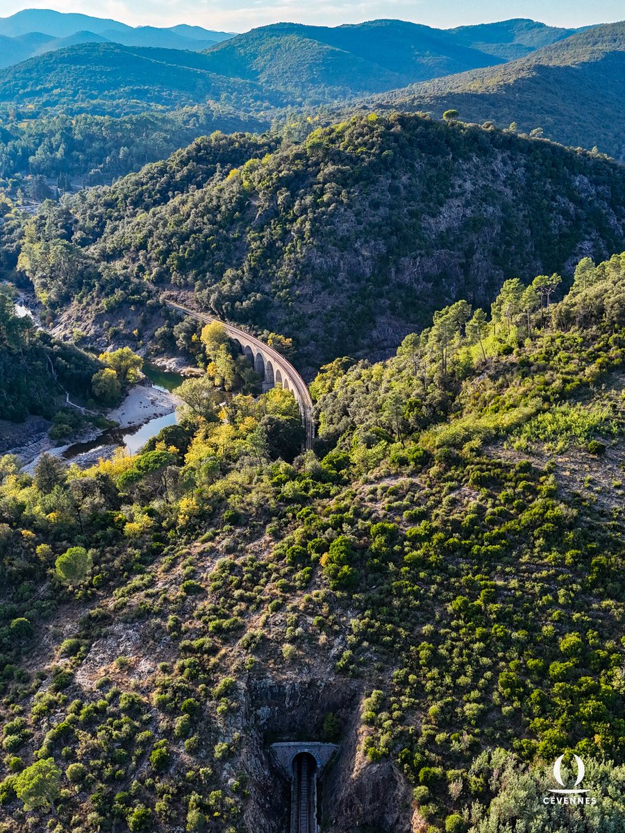 « Les rails d’acier luisant sont encadrés de haies ;
Les chiens et les troupeaux ne les redoutent plus ;
Et dans les fentes d’or des plus mornes talus
Se pavoisent des fleurs et se bombent des baies. »
⛰️🌳🛤️
📖 Émile Verhaeren
📷 Ivan Desgranges
🗺️ Corbès
#Cevennes #Gard