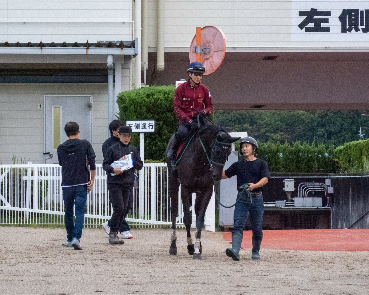 ダノンフェアレディ