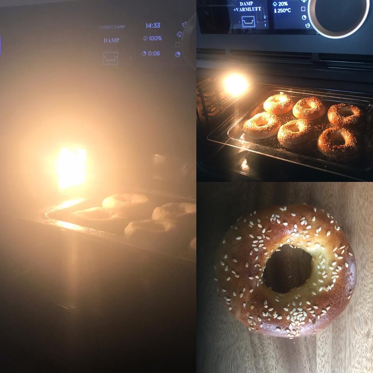 Steamed Bagels 💨🥯

#dedietrichappliances