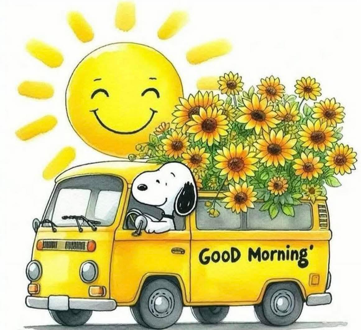 Marianna tweet media