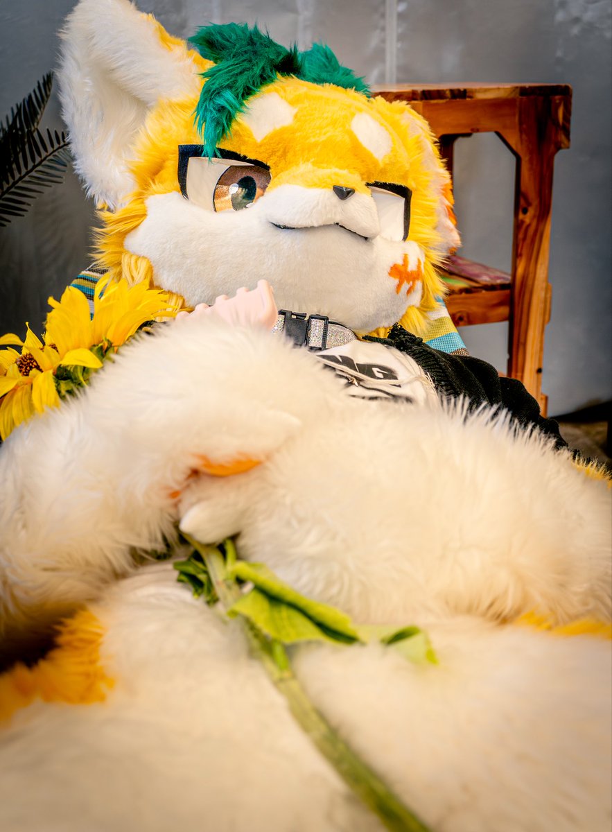 Hori_PINEDOG's tweet photo. 🌻 https://t.co/KnRDtuV9vI