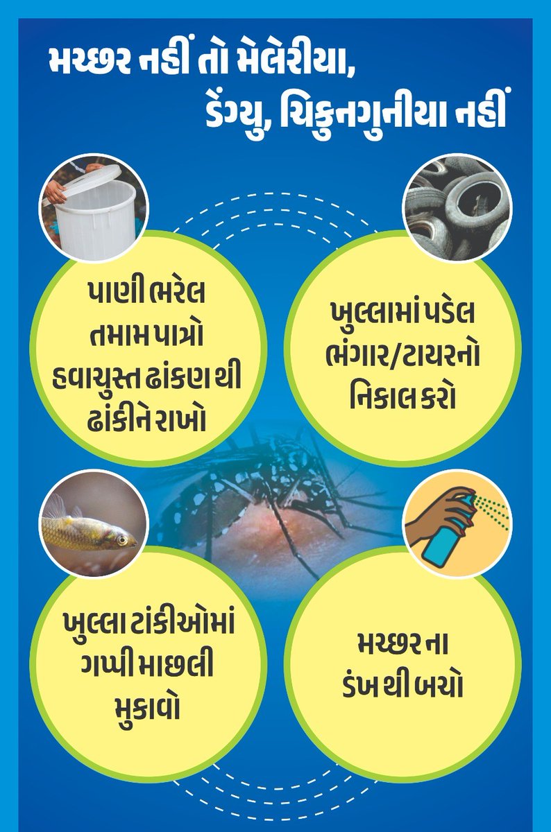 PhcTurkha's tweet image. મચ્છર નહિ તો મેલેરિયા, ડેન્ગ્યુ અને ચીકનગુનિયા નહિ!

આવો, સૌ મળી મચ્છરમુક્ત સમાજ બનાવીએ. 💪

#VectorControl #MalariaFreeIndia #DengueAwareness #HealthyAravalli