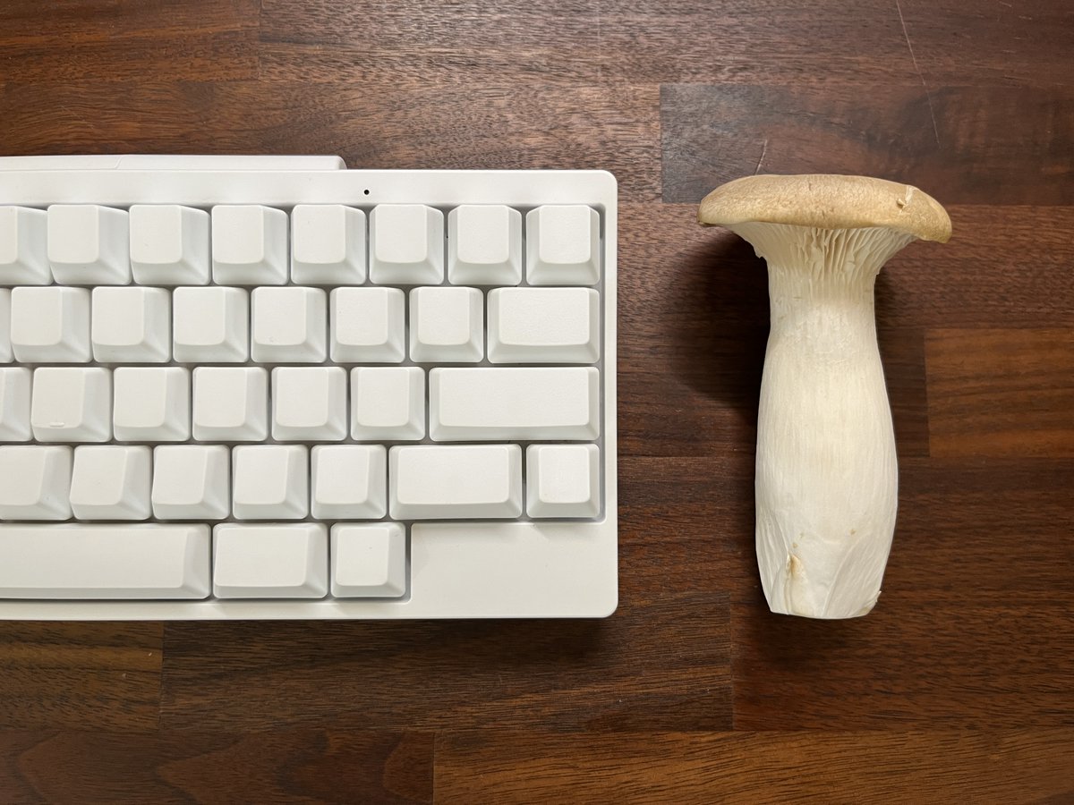 PFU_HHKB's tweet image. 参考になるかわかりませんがHHKBの縦はエリンギ1つ分ぐらいです #きのこの日