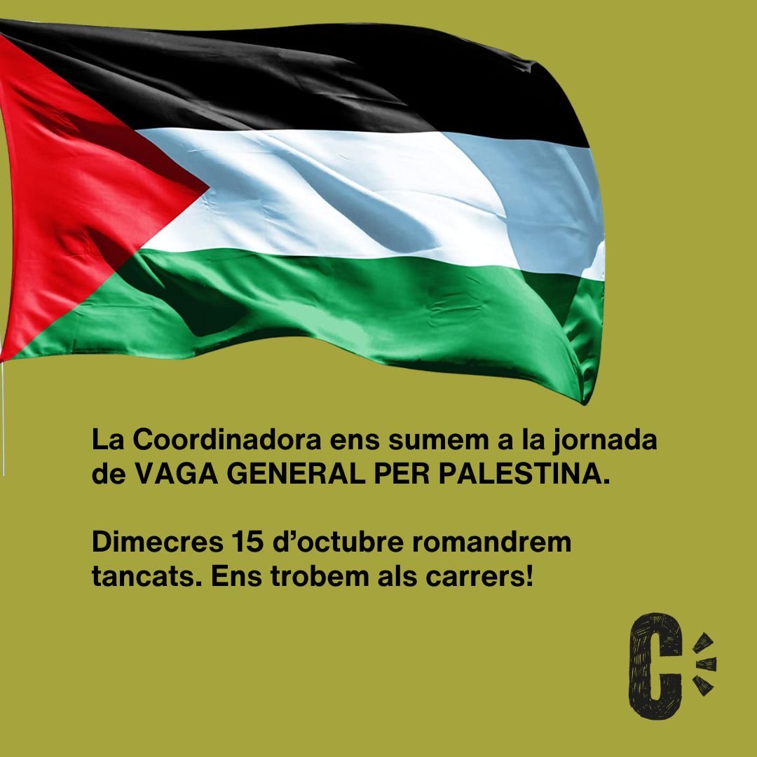 🇵🇸La <a href="/CoordONGs/">Coordinadora d'ONG Solidàries</a> se suma a la jornada de vaga d’avui per #Palestina. 

✊🏽 Benvingut sigui l’alto el foc! Però no podem parlar de pla de pau sense abordar el genocidi, l’ocupació i l’apartheid que pateix el poble palestí. Visca Palestina lliure! ✌🏾