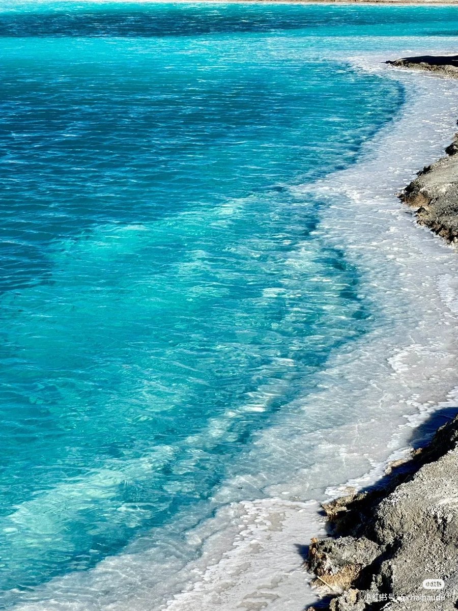 lss535297827683's tweet image. 每日一景【青海湖|中国最大咸水湖】
🌹中国最美五大湖之一
二郎剑景区：这里是青海湖的标志性景点，有长长的栈道深入湖中，还可以乘坐游船，近距离感受青海湖的浩瀚无垠。站在湖边，蓝色的湖水与蓝天相接，水天一色，仿佛置身于一幅绝美的画卷之中。
＃China
＃青海湖
#Views