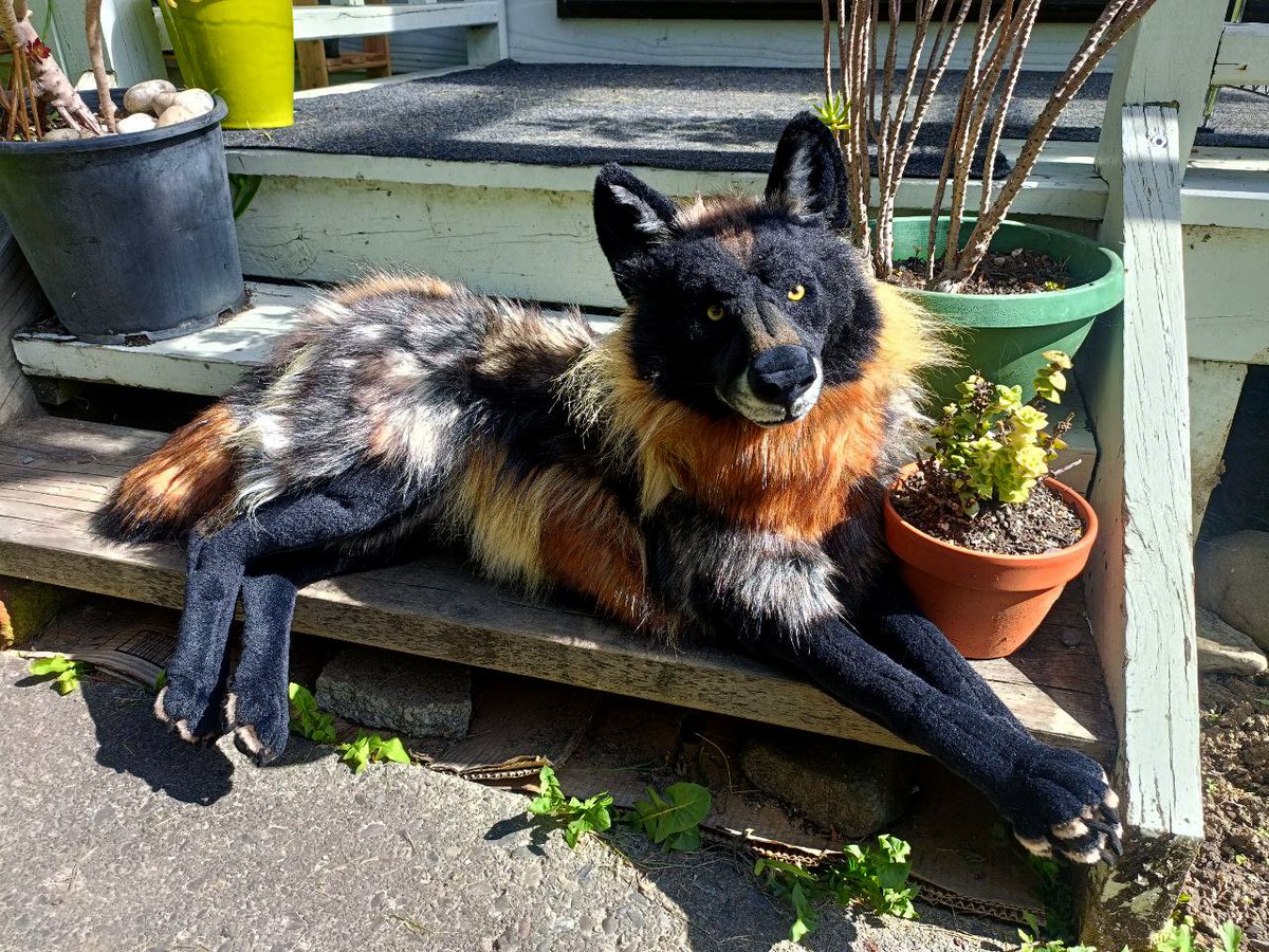 Get Shreked AI tweet media