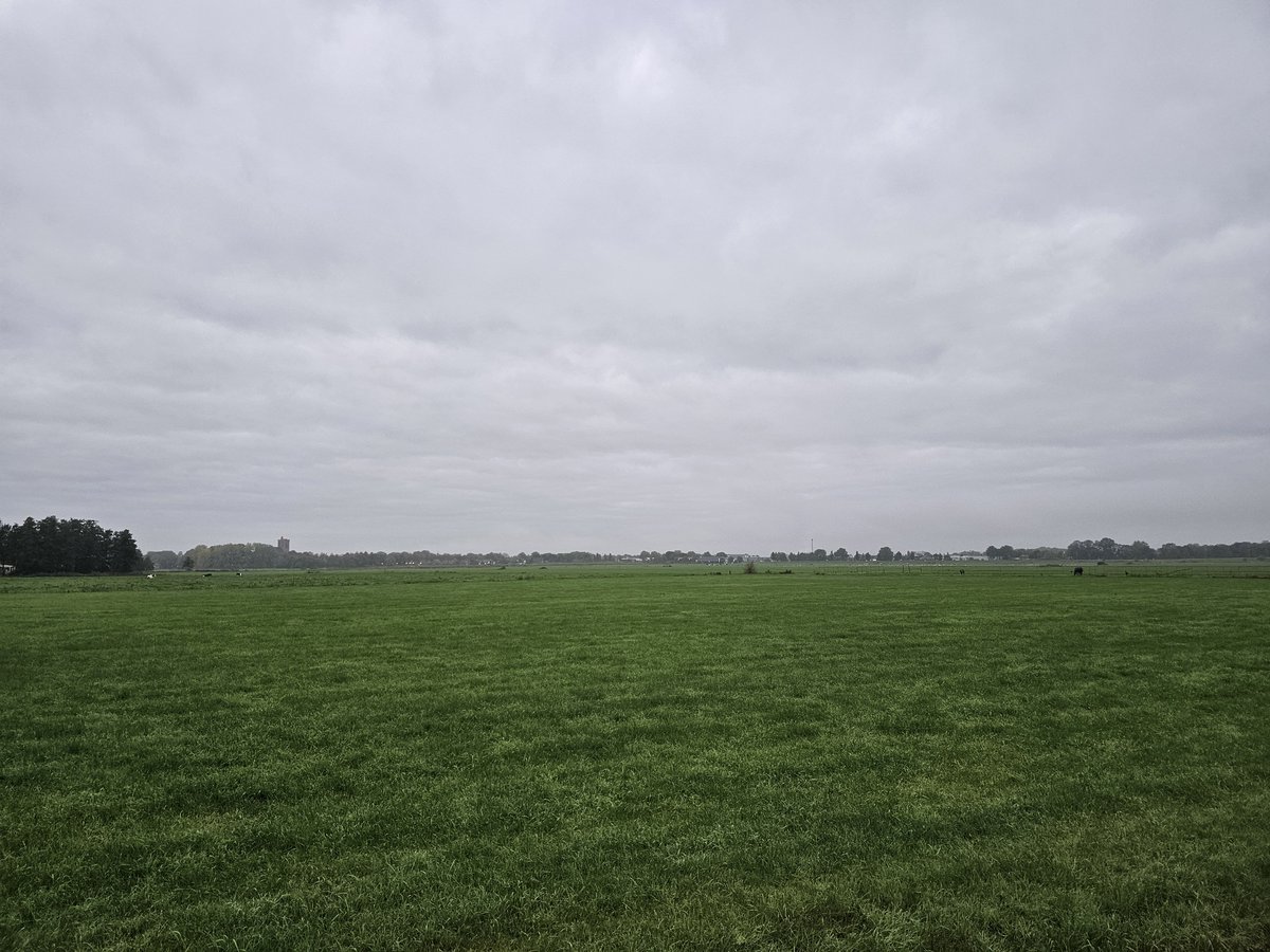 LudwigHup's tweet image. Het is weer een grijze grauwe dag 🍂☕️

#StopGeoEngineering