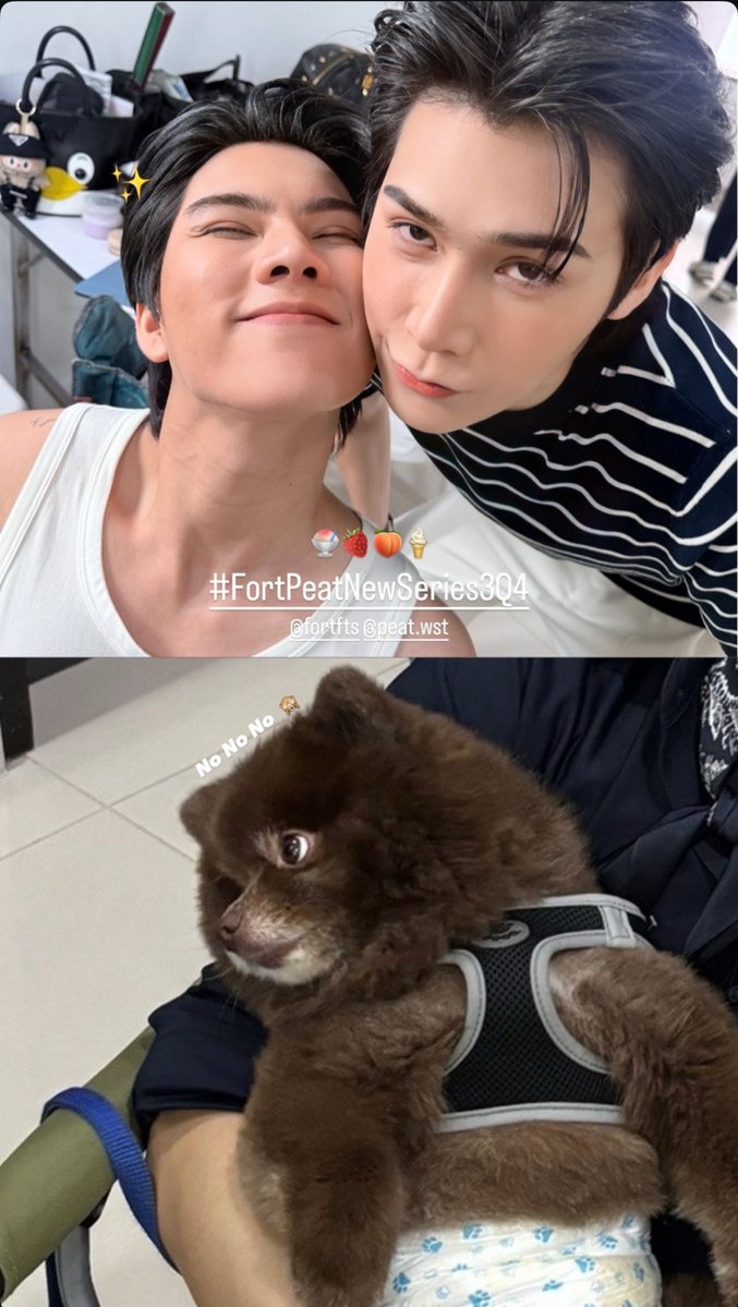 Awww no, no, no, admin
I don’t think I can choose between the two cute puppies, Peat can hug both of them 🥺

#FortPeatNewSeries3Q4