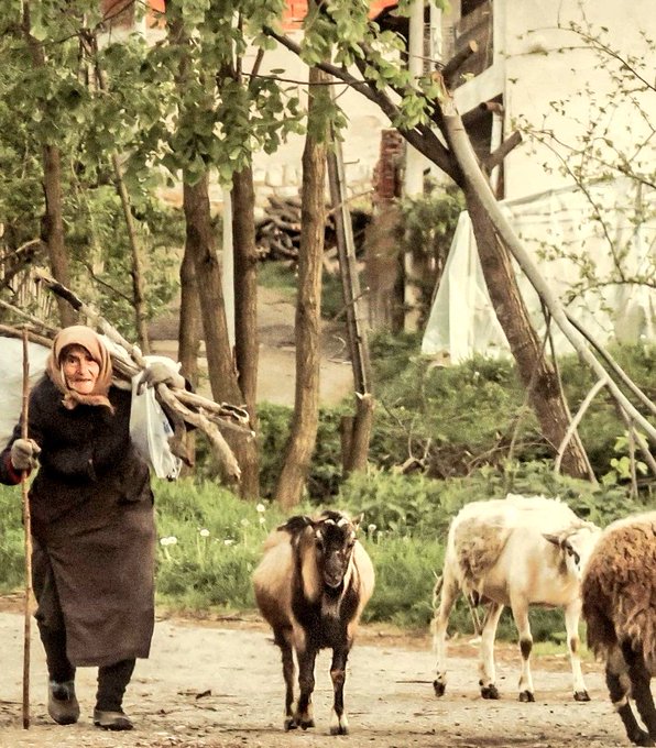 🌾👩‍🌾 Celebrem el #DiaInternacionalDeLaDonaRural! 15/10 és per reconèixer i fer visible la seva força i empenta als pobles 🌱💪 Que mai faltin oportunitats ni reconeixement! #DonaRural #15Octubre #Empoderament #OrgullRural