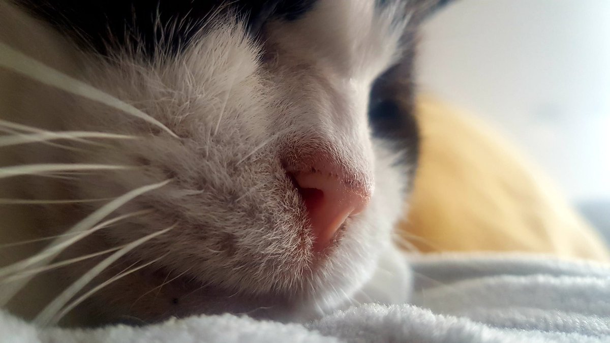 Ayer dije adiós a una de las partes más bonitas de mi vida. Ahora tengo que aprender a vivir sin él.