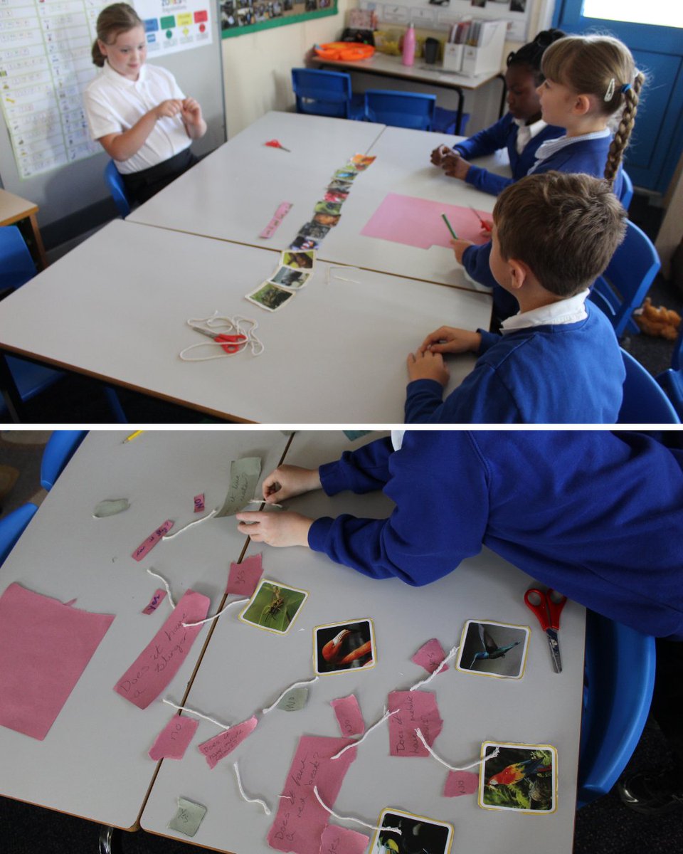 SharpLaneLeeds's tweet image. 🧠🦋 Science in Year 4! 🐾🔬

Year 4 have been exploring animal classification grids. They worked together to come up with interesting questions to help sort different animals, then tested them out by creating their own grids! 

#SharpLaneSchool #CuriousMinds #CreativeCurriculum