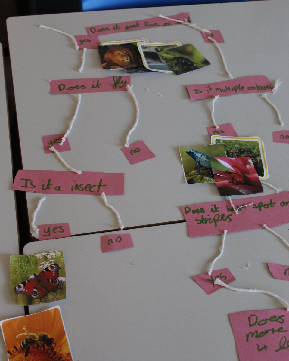 SharpLaneLeeds's tweet image. 🧠🦋 Science in Year 4! 🐾🔬

Year 4 have been exploring animal classification grids. They worked together to come up with interesting questions to help sort different animals, then tested them out by creating their own grids! 

#SharpLaneSchool #CuriousMinds #CreativeCurriculum