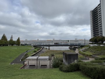 First image shows a tall white multi-story condominium building with balconies and glass windows under a cloudy sky, surrounded by green trees and a street with pedestrian crossing and barriers. Second image depicts the entrance area with wooden doors, glass panels, potted plants, hedges, and a stone pathway leading to the building facade. Third image captures multiple tall white residential towers with balconies and rooftop structures near a riverbank with greenery and a concrete embankment. Fourth image illustrates the building beside a river with a bridge in the background, green lawns, walking paths, benches, shrubs, and trees under overcast skies.