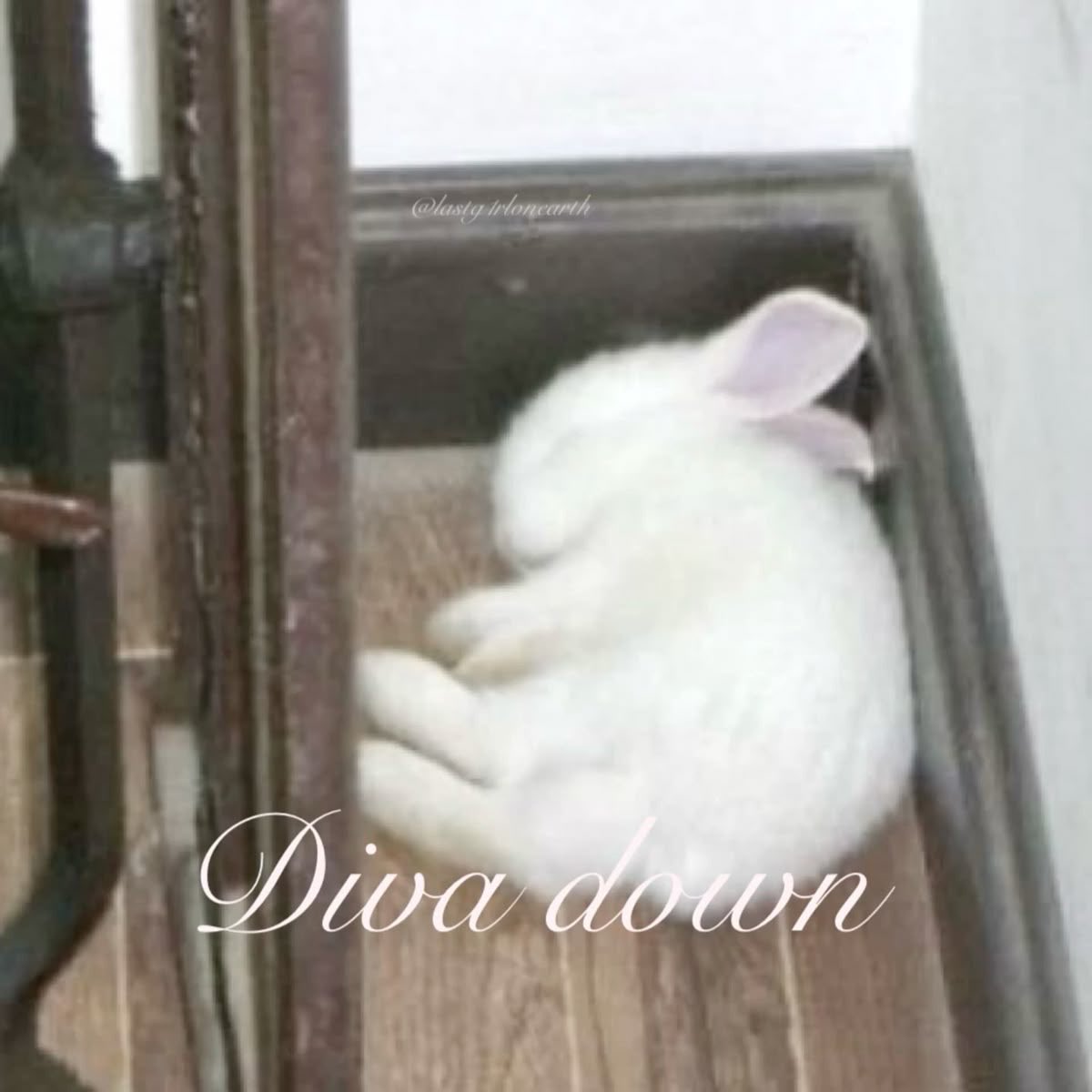 Big love for all the babes fighting their inner demons (cramps) while at work. Stay strong babes, we’re all in this together 🫂 (minmore currently laying on the floor in a fetal position)