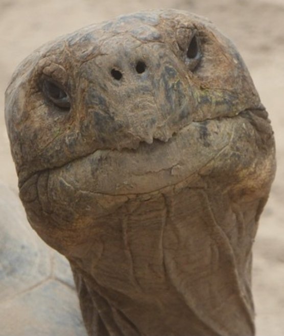 Lucas (Doc) Hunt tweet media