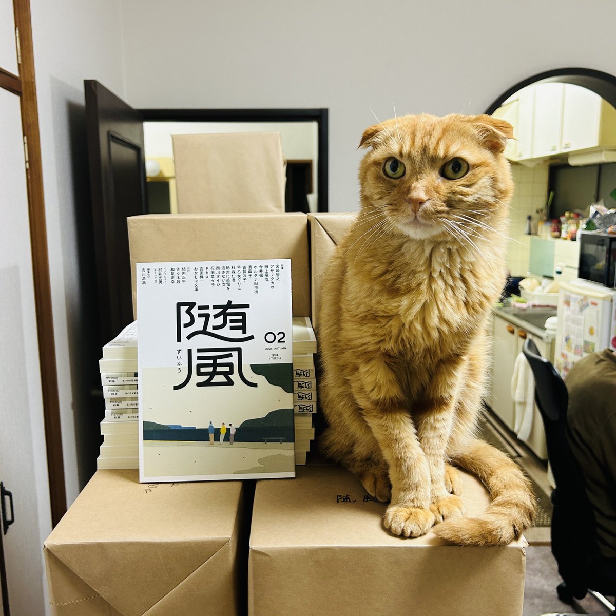 【更新】
『随風02』、取扱書店さま一覧を更新しました！　こちらで把握しているだけで、全国110店舗の書店さまに置いていただいています〜🐈

thebooks.jp/books/005/