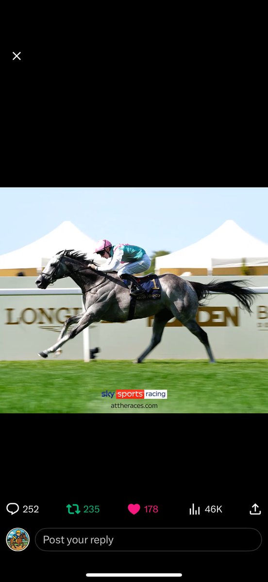 MdotRacing77's tweet photo. @AtTheRaces @Ascot https://t.co/9Y2ukRECaD