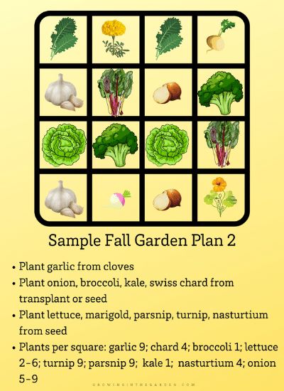 The best Square Foot Gardening Plant Spacing Guide
Square Foot Gardening 📏🌻
Maximize small spaces by dividing garden beds into small sections for efficient planting.
#UrbanGardening #CityGarden #GreenLiving