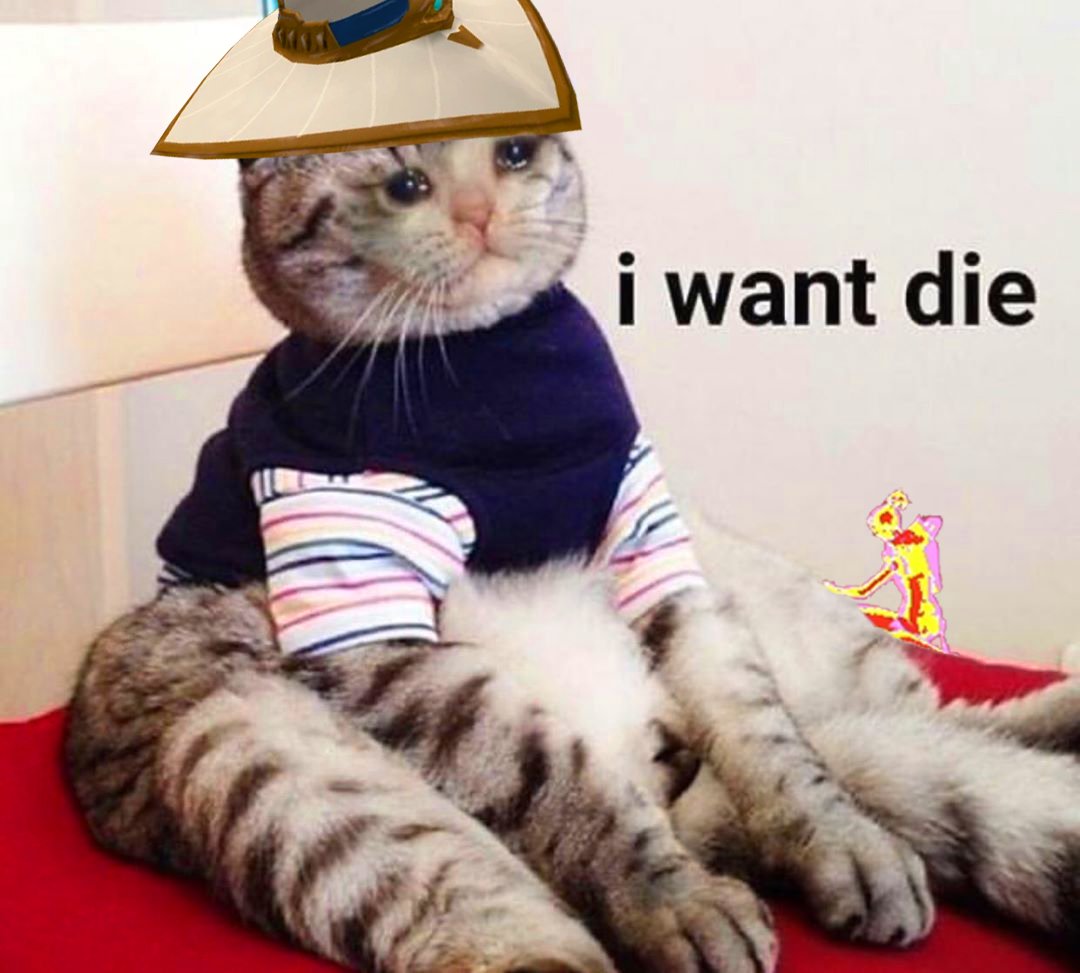 how it feels to be a cypher main after these patch notes