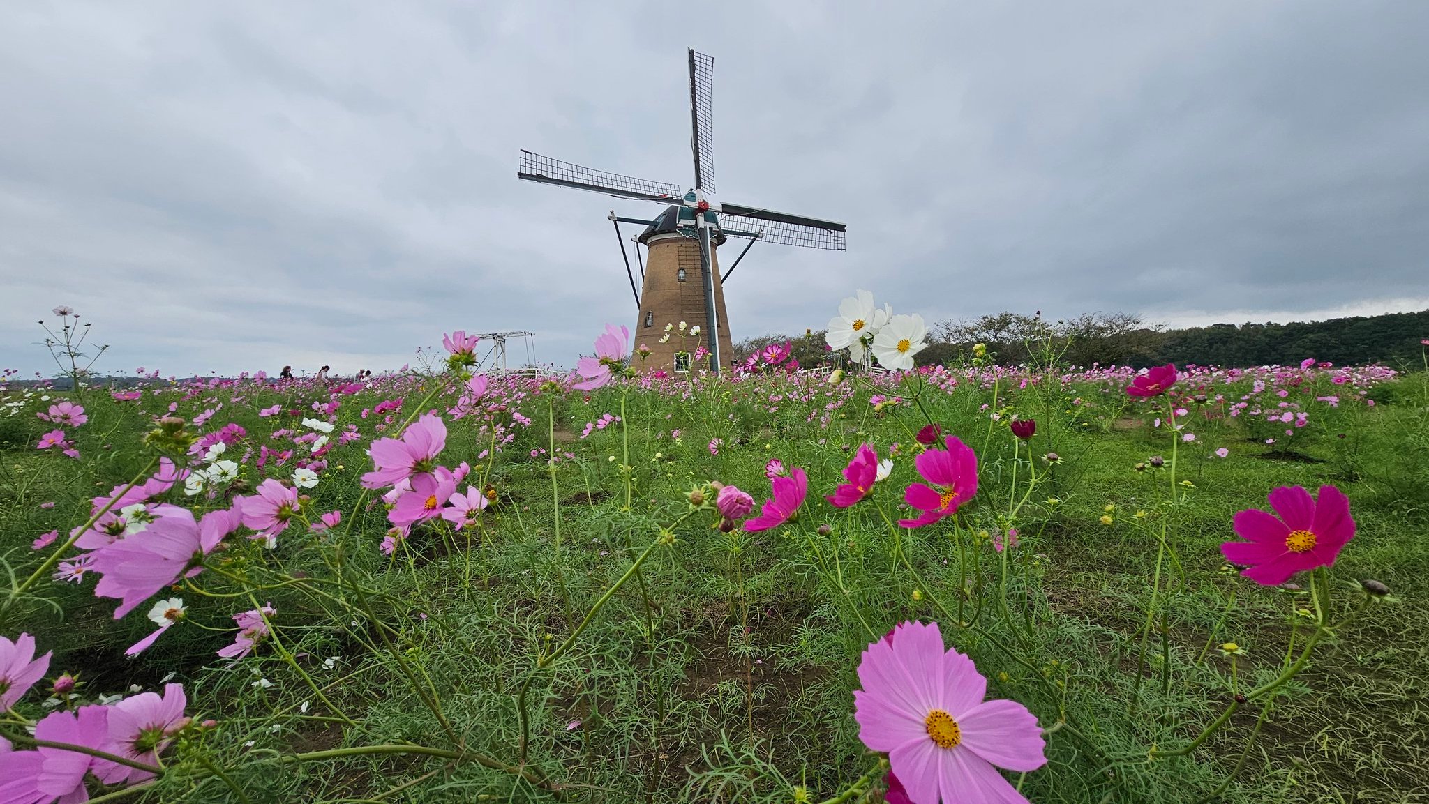 よねちゃん on X: 