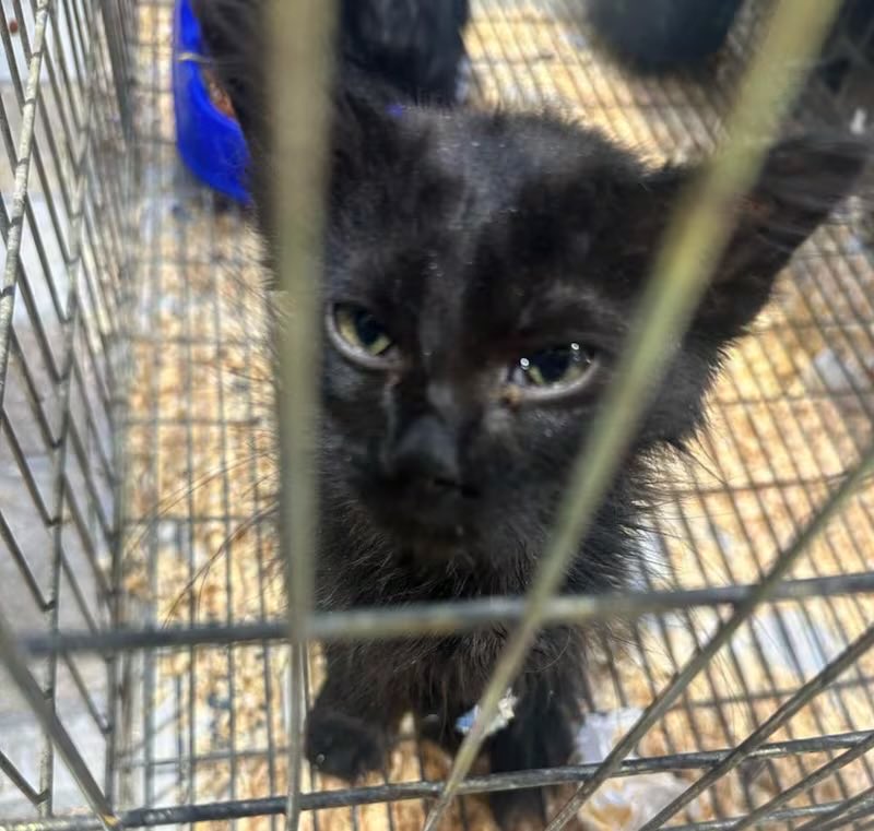 𝙍𝙪𝙩𝙝 𝘽𝙖𝙧𝙧𝙞𝙤𝙨 𝙁𝙪𝙚𝙣𝙩𝙚𝙨 tweet media