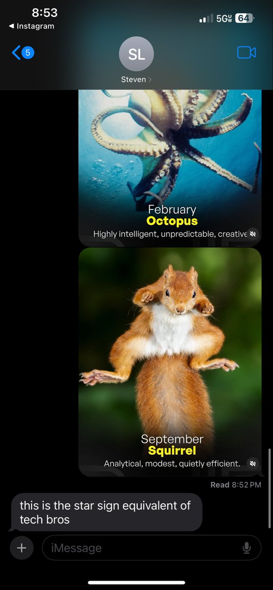 new startup alignment chart just dropped:
octopus — building 6 side projects
squirrel — saving all the pitch decks